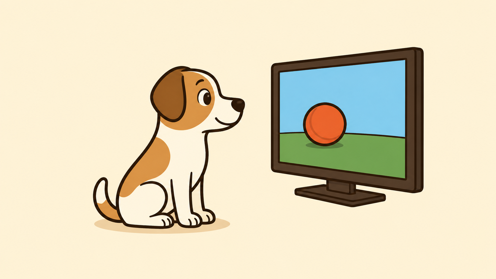 Il Cane Capisce La TV?