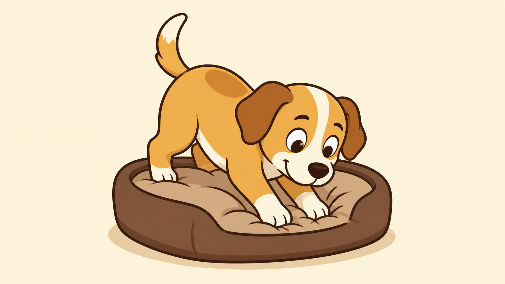 Perché Il Cane Scava Nella Cuccia?